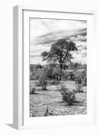 Awesome South Africa Collection B&W - African Landscape VI-Philippe Hugonnard-Framed Photographic Print