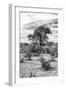 Awesome South Africa Collection B&W - African Landscape VI-Philippe Hugonnard-Framed Photographic Print