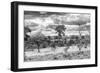 Awesome South Africa Collection B&W - African Landscape VII-Philippe Hugonnard-Framed Photographic Print