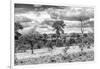 Awesome South Africa Collection B&W - African Landscape VII-Philippe Hugonnard-Framed Photographic Print