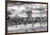 Awesome South Africa Collection B&W - African Landscape VII-Philippe Hugonnard-Framed Photographic Print