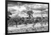 Awesome South Africa Collection B&W - African Landscape VII-Philippe Hugonnard-Framed Photographic Print