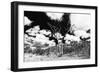 Awesome South Africa Collection B&W - African Landscape VIII-Philippe Hugonnard-Framed Photographic Print