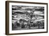 Awesome South Africa Collection B&W - African Landscape with Acacia Tree II-Philippe Hugonnard-Framed Photographic Print