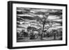 Awesome South Africa Collection B&W - African Landscape with Acacia Tree II-Philippe Hugonnard-Framed Photographic Print