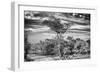 Awesome South Africa Collection B&W - African Landscape with Acacia Tree IV-Philippe Hugonnard-Framed Photographic Print