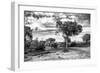 Awesome South Africa Collection B&W - African Landscape with Acacia Tree IX-Philippe Hugonnard-Framed Photographic Print