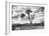 Awesome South Africa Collection B&W - African Landscape with Acacia Tree V-Philippe Hugonnard-Framed Photographic Print