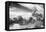 Awesome South Africa Collection B&W - African Landscape with Acacia Tree VI-Philippe Hugonnard-Framed Stretched Canvas