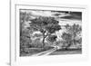 Awesome South Africa Collection B&W - African Landscape with Acacia Tree VII-Philippe Hugonnard-Framed Photographic Print