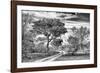 Awesome South Africa Collection B&W - African Landscape with Acacia Tree VII-Philippe Hugonnard-Framed Photographic Print