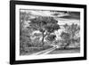Awesome South Africa Collection B&W - African Landscape with Acacia Tree VII-Philippe Hugonnard-Framed Photographic Print