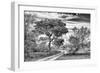 Awesome South Africa Collection B&W - African Landscape with Acacia Tree VII-Philippe Hugonnard-Framed Photographic Print