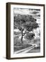 Awesome South Africa Collection B&W - African Landscape with Acacia Tree VIII-Philippe Hugonnard-Framed Photographic Print