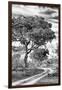 Awesome South Africa Collection B&W - African Landscape with Acacia Tree VIII-Philippe Hugonnard-Framed Photographic Print