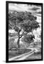 Awesome South Africa Collection B&W - African Landscape with Acacia Tree VIII-Philippe Hugonnard-Framed Photographic Print