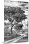 Awesome South Africa Collection B&W - African Landscape with Acacia Tree VIII-Philippe Hugonnard-Mounted Photographic Print
