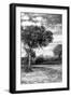 Awesome South Africa Collection B&W - African Landscape with Acacia Tree X-Philippe Hugonnard-Framed Photographic Print