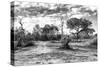 Awesome South Africa Collection B&W - African Landscape with Acacia Tree XI-Philippe Hugonnard-Stretched Canvas