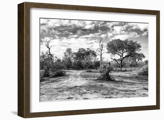Awesome South Africa Collection B&W - African Landscape with Acacia Tree XI-Philippe Hugonnard-Framed Photographic Print