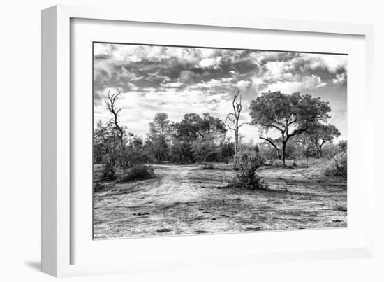 Awesome South Africa Collection B&W - African Landscape with Acacia Tree XI-Philippe Hugonnard-Framed Photographic Print