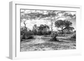 Awesome South Africa Collection B&W - African Landscape with Acacia Tree XI-Philippe Hugonnard-Framed Photographic Print