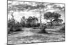 Awesome South Africa Collection B&W - African Landscape with Acacia Tree XI-Philippe Hugonnard-Mounted Photographic Print