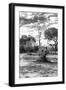 Awesome South Africa Collection B&W - African Landscape with Acacia Tree XII-Philippe Hugonnard-Framed Photographic Print