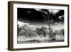 Awesome South Africa Collection B&W - African Landscape with Acacia Tree XIII-Philippe Hugonnard-Framed Photographic Print