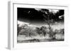 Awesome South Africa Collection B&W - African Landscape with Acacia Tree XIII-Philippe Hugonnard-Framed Photographic Print