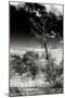 Awesome South Africa Collection B&W - African Landscape with Acacia Tree XIV-Philippe Hugonnard-Mounted Photographic Print