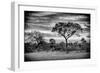 Awesome South Africa Collection B&W - African Landscape with Acacia Tree-Philippe Hugonnard-Framed Photographic Print