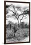 Awesome South Africa Collection B&W - African Landscape X-Philippe Hugonnard-Framed Photographic Print