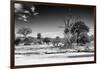 Awesome South Africa Collection B&W - African Landscape XI-Philippe Hugonnard-Framed Photographic Print