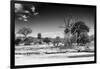 Awesome South Africa Collection B&W - African Landscape XI-Philippe Hugonnard-Framed Photographic Print