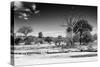 Awesome South Africa Collection B&W - African Landscape XI-Philippe Hugonnard-Stretched Canvas