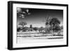 Awesome South Africa Collection B&W - African Landscape XI-Philippe Hugonnard-Framed Photographic Print