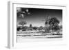 Awesome South Africa Collection B&W - African Landscape XI-Philippe Hugonnard-Framed Photographic Print