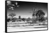 Awesome South Africa Collection B&W - African Landscape XI-Philippe Hugonnard-Framed Stretched Canvas