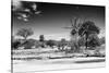 Awesome South Africa Collection B&W - African Landscape XI-Philippe Hugonnard-Stretched Canvas