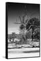 Awesome South Africa Collection B&W - African Landscape XII-Philippe Hugonnard-Framed Stretched Canvas