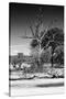Awesome South Africa Collection B&W - African Landscape XII-Philippe Hugonnard-Stretched Canvas