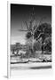 Awesome South Africa Collection B&W - African Landscape XII-Philippe Hugonnard-Framed Photographic Print