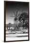 Awesome South Africa Collection B&W - African Landscape XII-Philippe Hugonnard-Framed Photographic Print