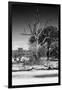 Awesome South Africa Collection B&W - African Landscape XII-Philippe Hugonnard-Framed Photographic Print