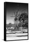 Awesome South Africa Collection B&W - African Landscape XII-Philippe Hugonnard-Framed Stretched Canvas