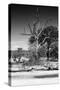 Awesome South Africa Collection B&W - African Landscape XII-Philippe Hugonnard-Stretched Canvas