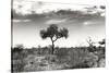 Awesome South Africa Collection B&W - African Landscape XIII-Philippe Hugonnard-Stretched Canvas