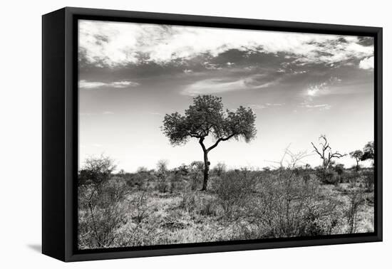 Awesome South Africa Collection B&W - African Landscape XIII-Philippe Hugonnard-Framed Stretched Canvas