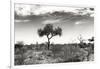 Awesome South Africa Collection B&W - African Landscape XIII-Philippe Hugonnard-Framed Photographic Print
